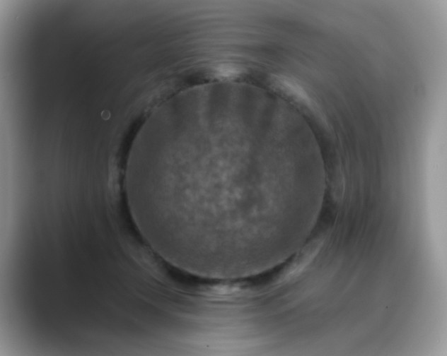 X0000089680366200707051611