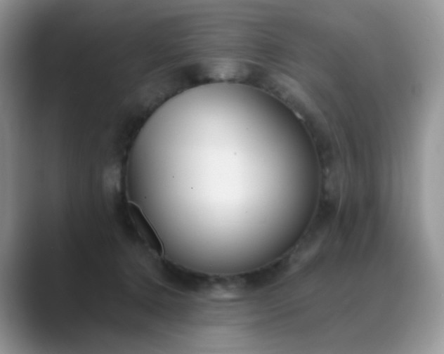 X0000089680368200707051611