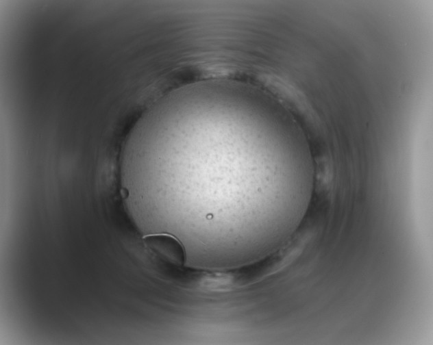 X0000089680369200707051611