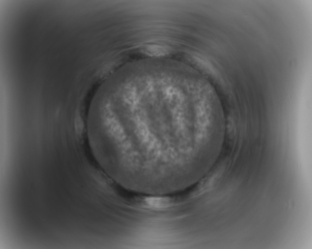 X0000089680371200707051611