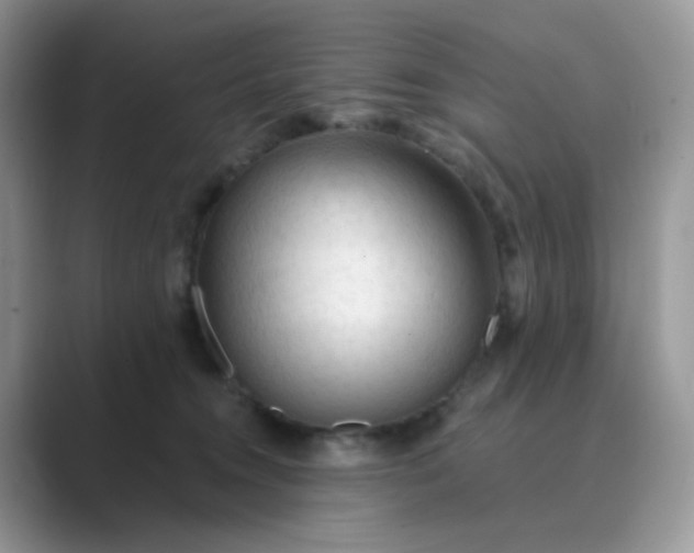 X0000089680372200707051611