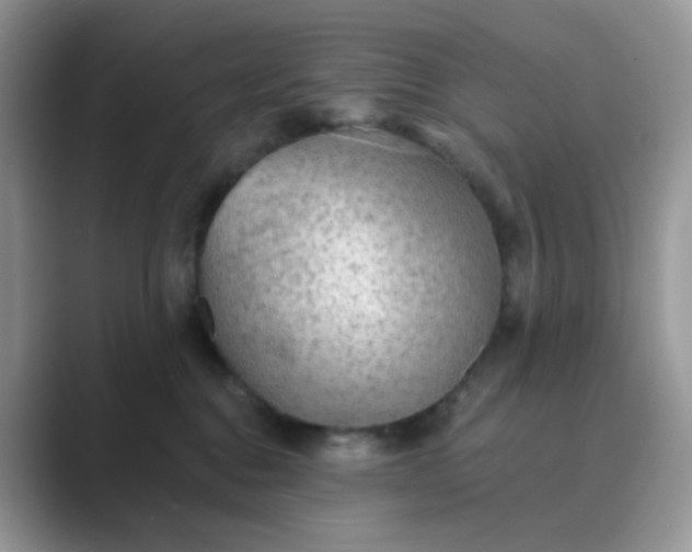 X0000089680376200707051611