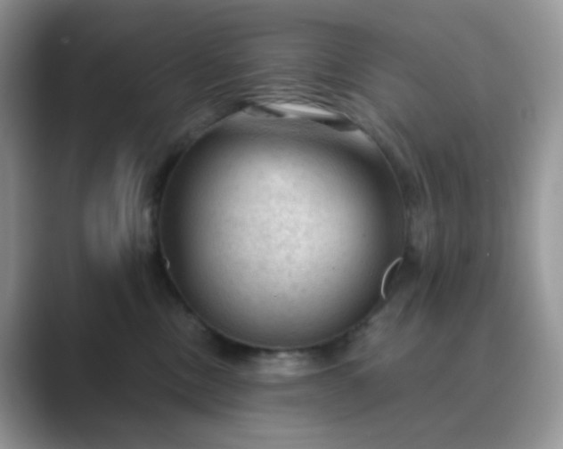 X0000089680378200707051611