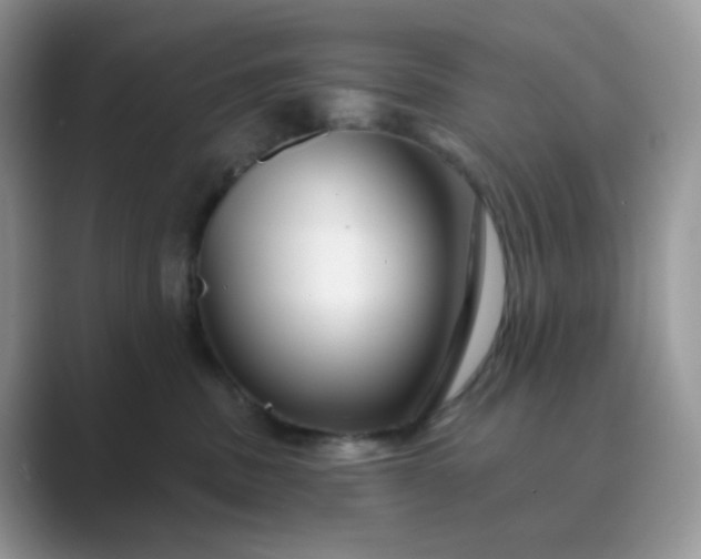 X0000089680379200707051611
