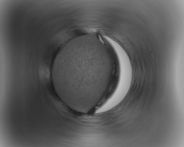 X0000089680380200707051611