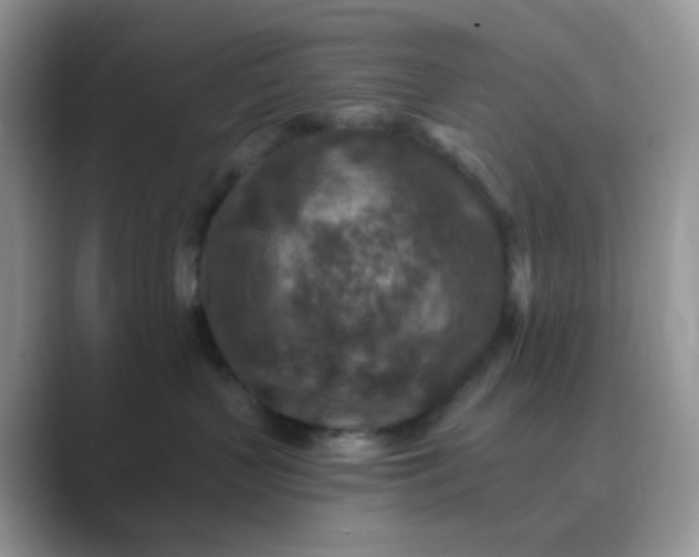 X0000089680383200707051611