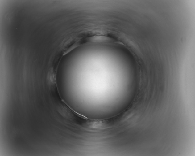 X0000089680384200707051611