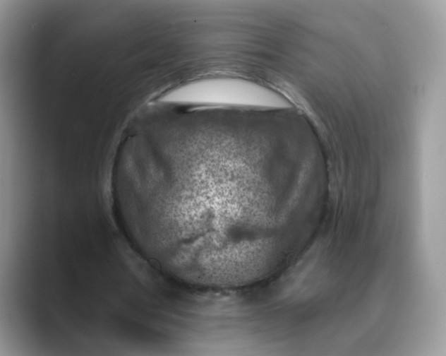 X0000089680386200707051610