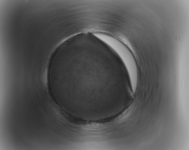 X0000089680387200707051610