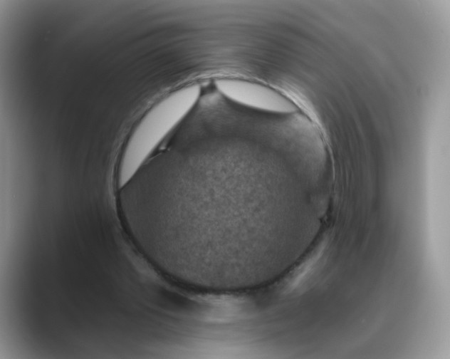 X0000089680389200707051610