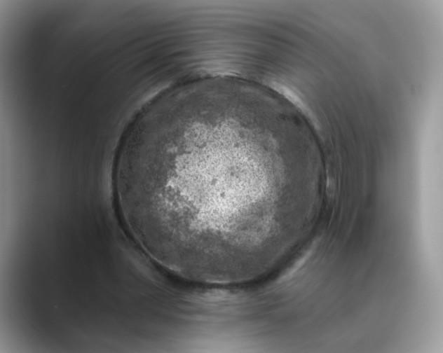 X0000089680390200707051610