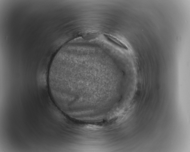 X0000089680393200707051610