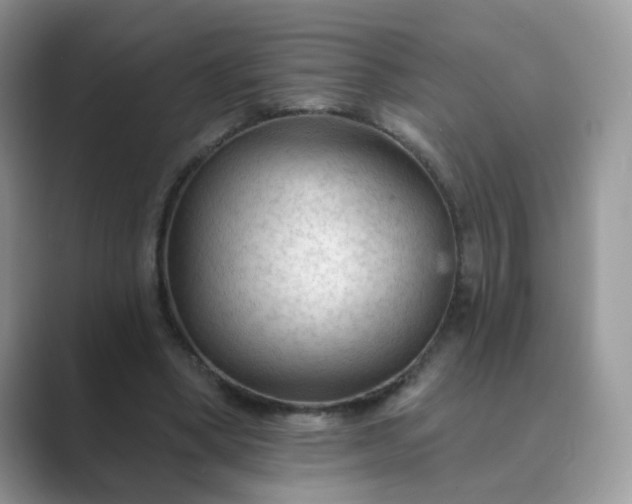 X0000089680394200707051610