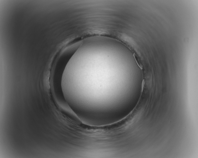 X0000089680395200707051610