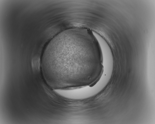 X0000089680397200707051610