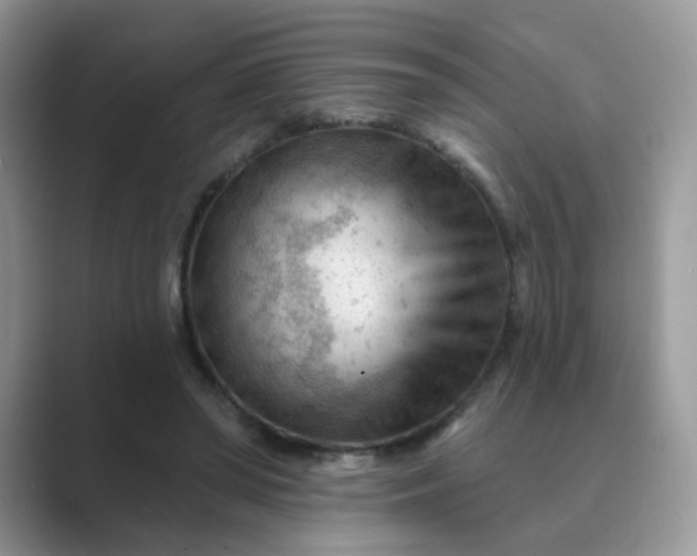 X0000089680398200707051610