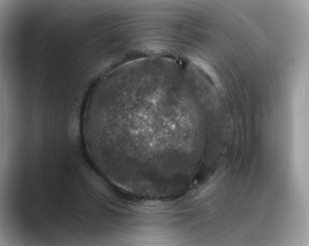 X0000089680399200707051610