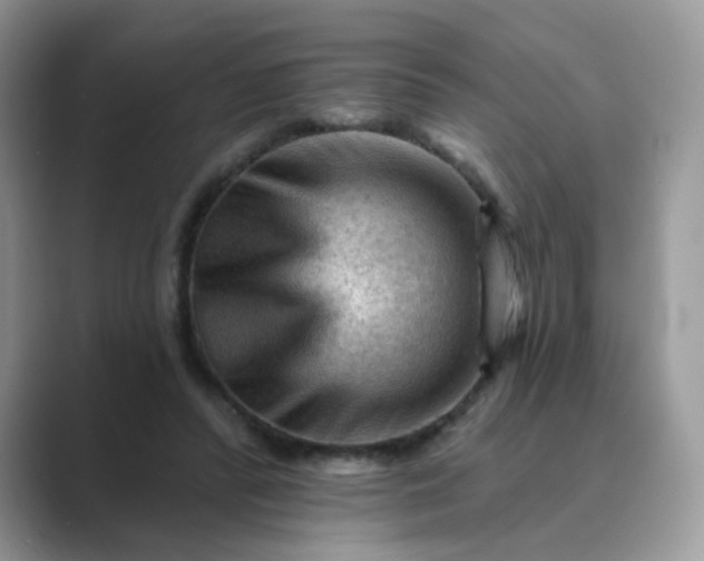 X0000089680400200707051610