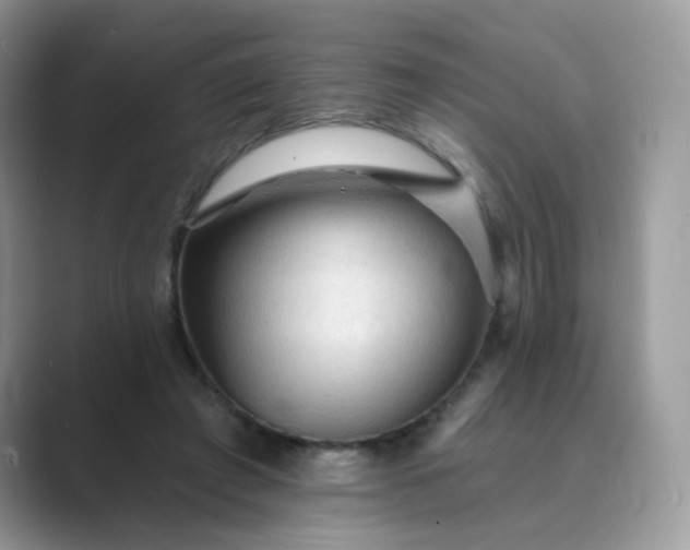 X0000089680401200707051610