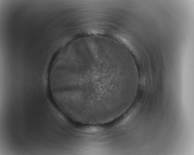 X0000089680402200707051610