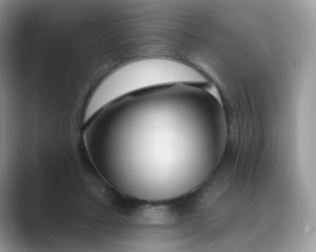 X0000089680403200707051610