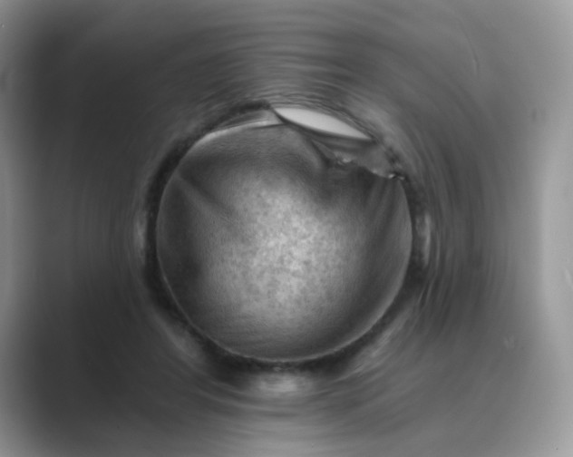 X0000089680404200707051610