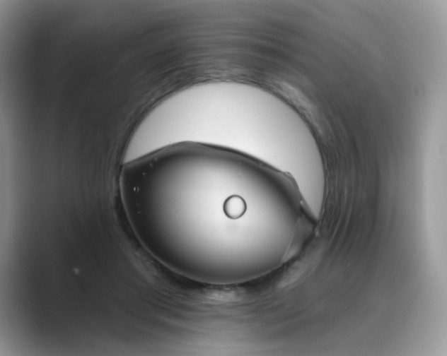 X0000089680405200707051610