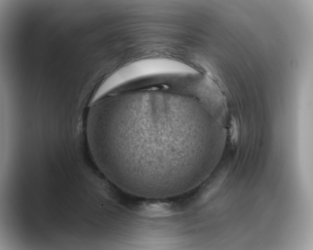 X0000089680407200707051610