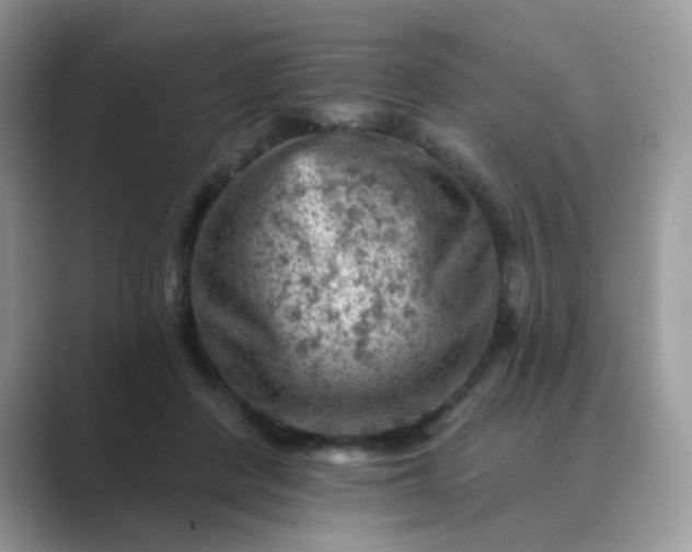 X0000089680408200707051610