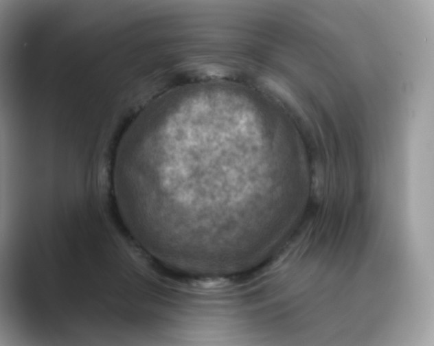 X0000089680410200707051610