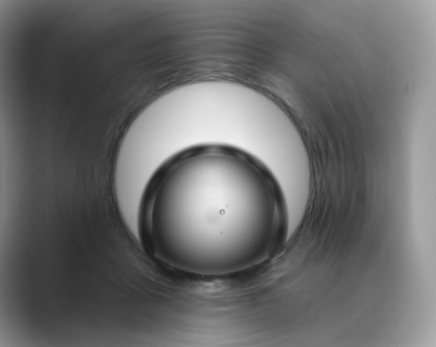 X0000089680411200707051610