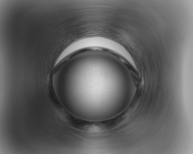 X0000089680412200707051610