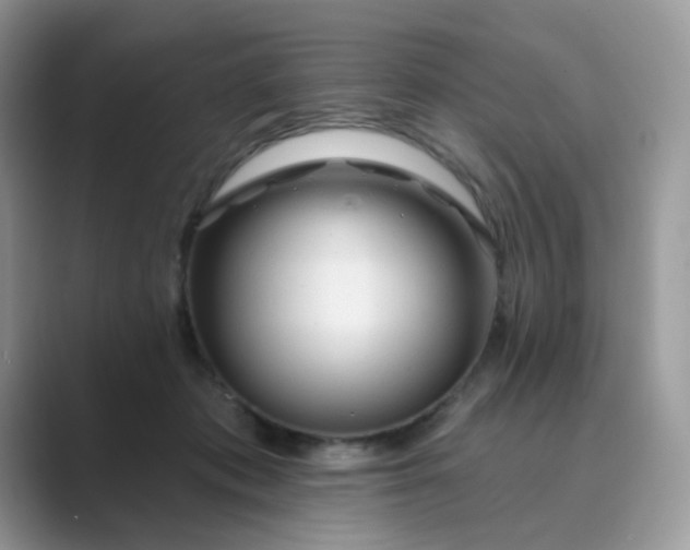 X0000089680413200707051610