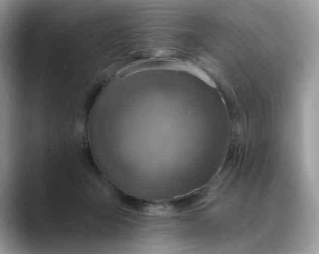 X0000089680415200707051610