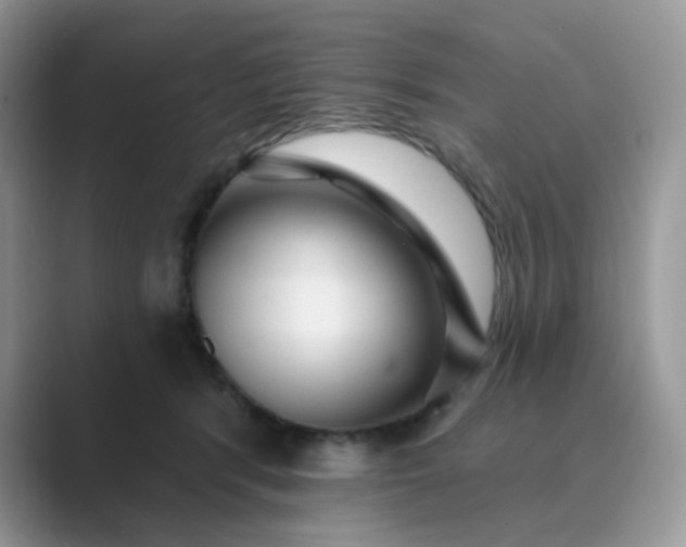 X0000089680416200707051610