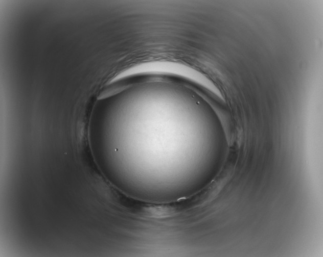 X0000089680417200707051610