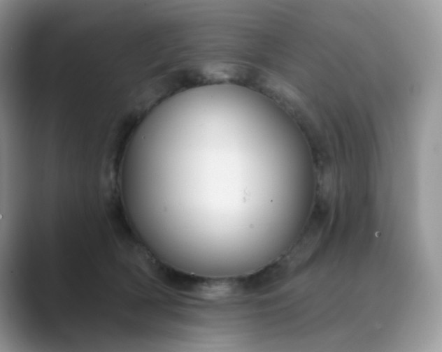 X0000089680418200707051610