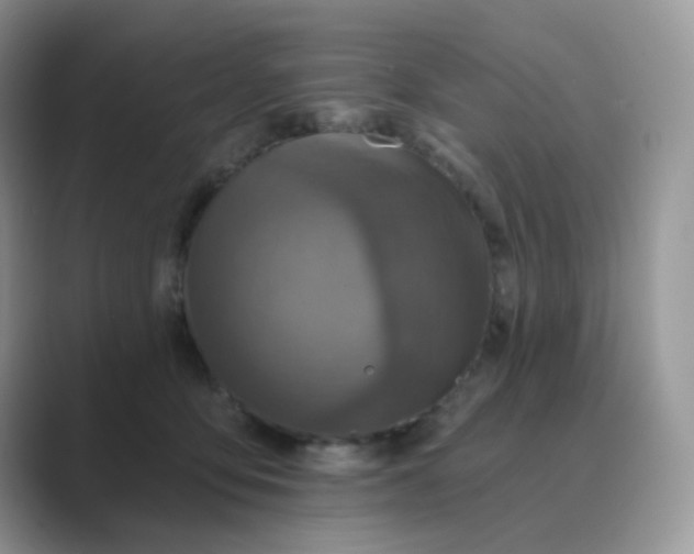 X0000089680419200707051610