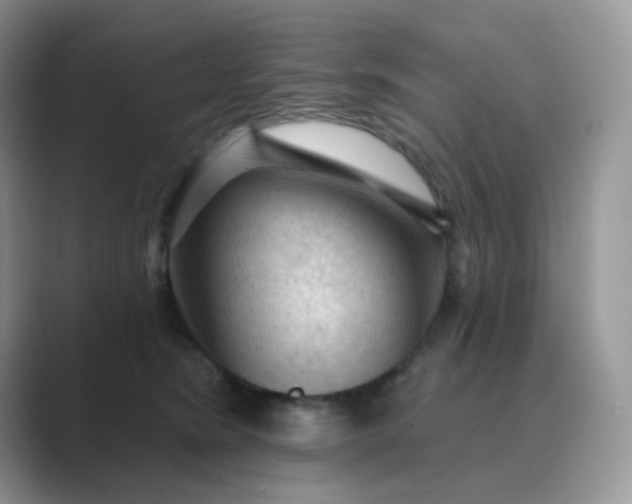 X0000089680420200707051610