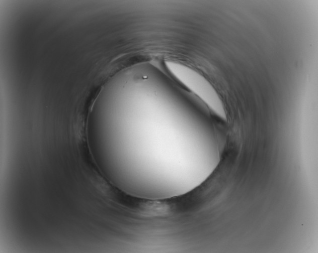 X0000089680421200707051610