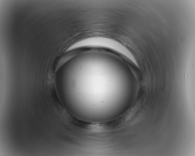 X0000089680425200707051610