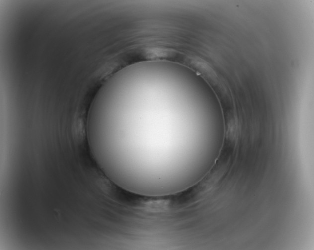 X0000089680426200707051610