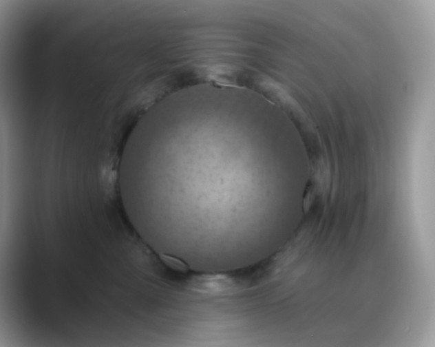 X0000089680427200707051610