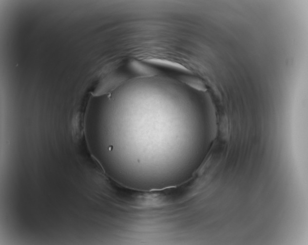X0000089680428200707051610