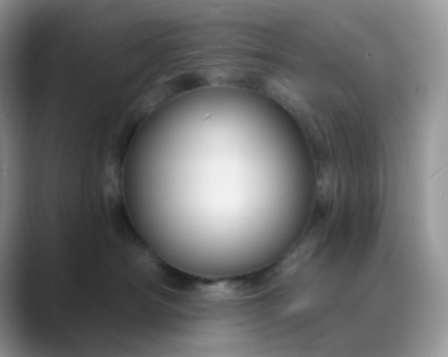X0000089680430200707051610