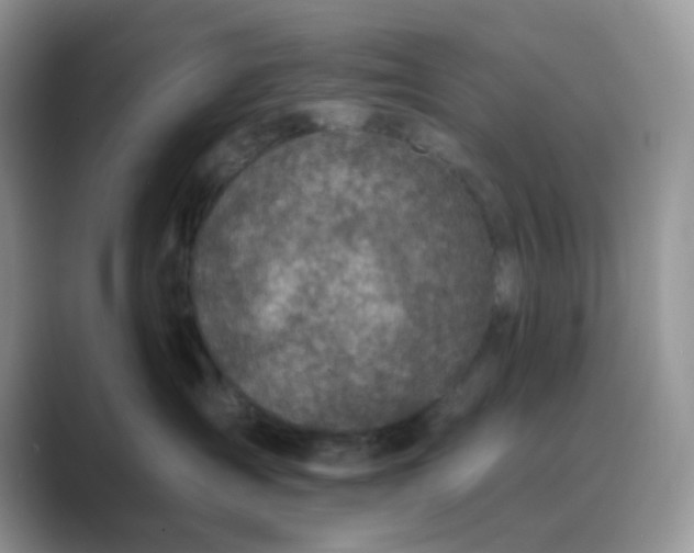 X0000089680431200707051610