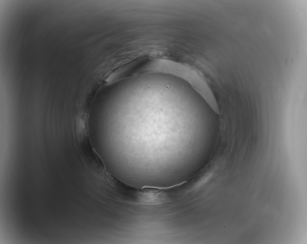 X0000089680432200707051610