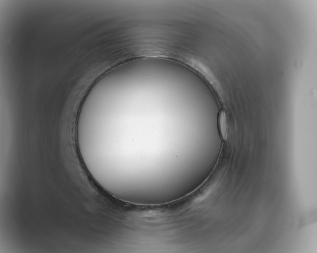 X0000089680433200707051609