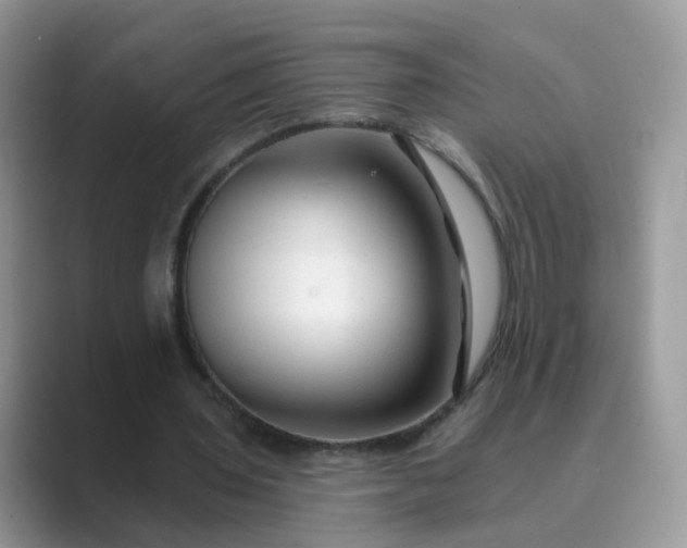 X0000089680435200707051609