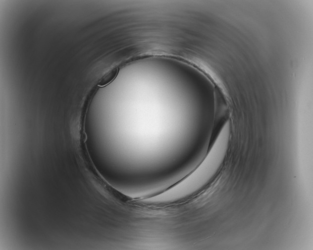 X0000089680437200707051609